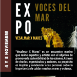 VOCES DEL MAR: Vesalmar X Mares