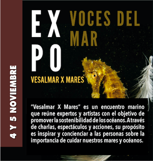 VOCES DEL MAR: Vesalmar X Mares